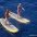 West Maui Stand Up Paddle Lesson In Olowalu